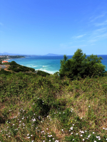 Des sources, des baleines et des marins - Pouget's family