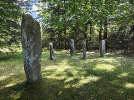 Le sommet des légendes - D. B. Family