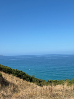 Des sources, des baleines et des marins - melanie0882
