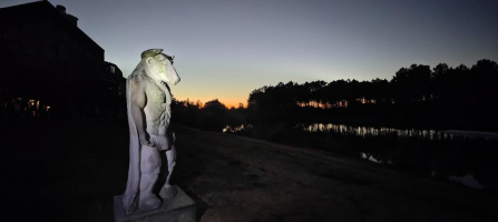 Dans les bois de Morphée … - Gosbo79