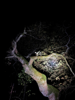 Sorcières sur l’Adour - Laura Olive