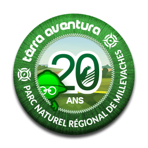 Badge virtuel de la collaboration