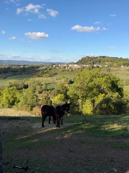 Les hauts de Hurlement - steva19