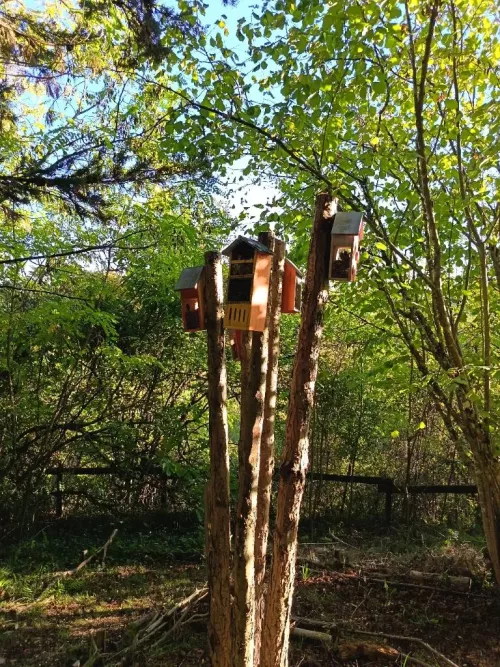 Un croquant sachant croquer … - titimorpion