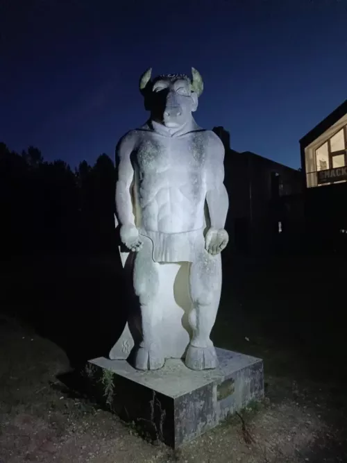 Dans les bois de Morphée - Z'artiste Bidouilleuse
