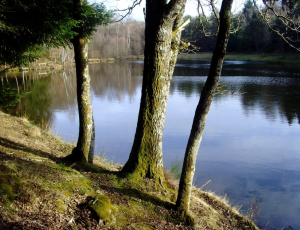 Entre histoire et nature, sur la voie des poupées !