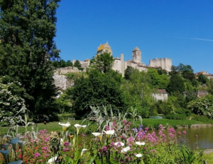 Chauvigny_Authentique corne de bigorne a saisir