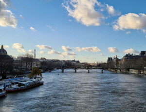 Le Poiz Tour de Montparnasse au Louvre_Paris