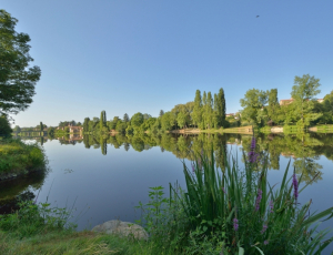 A_Vienne_que_ pourra_Availles-Limouzine