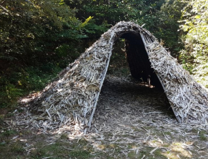 The Boubon forest cache