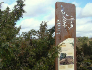Du bruit dans les bruyères