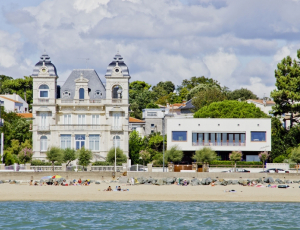 Loiseau bleu du Roy Yan_Royan